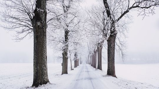 Pogoda na Święta. Jest szansa na śnieg! Na drogach może być ślisko [AKTUALIZACJA]