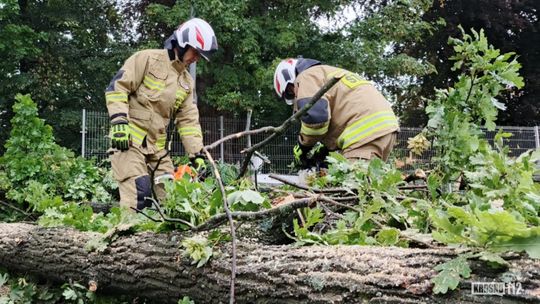 Połamane drzewa, uszkodzone dachy. Blisko 1200 interwencji podkarpackich strażaków
