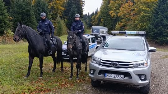 Policjanci na koniach patrolują kompleksy leśne powiatu krośnieńskiego