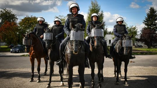 Policyjne konie na Podkarpaciu po egzaminie. Wszystkie zdały test [ZDJĘCIA]