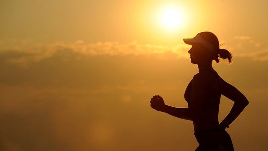 Półmaraton Dukla Wolf Run już w maju. Ruszyły zapisy