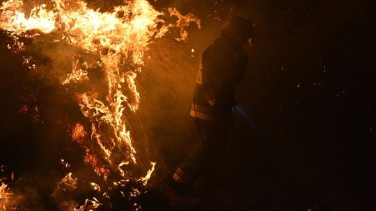 Ponad 90 hektarów nieużytków wypalonych w ostatnich pożarach