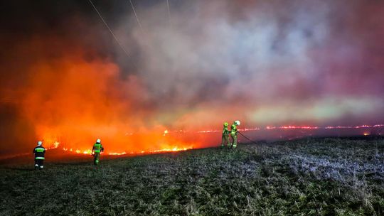 Ponad sto pożarów traw na Podkarpaciu. Strażacy apelują o rozsądek