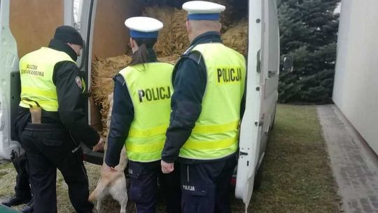 Ponad tona nielegalnego tytoniu. 26-latek usłyszał zarzuty