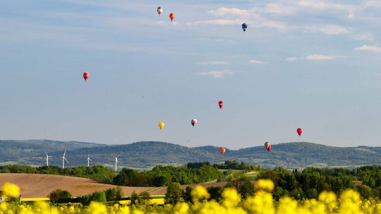 Lot balonów nad polami rzepaku. Te zdjęcia musicie zobaczyć