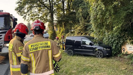 Poranna kolizja na Bema. W pojeździe dwa czworonogi