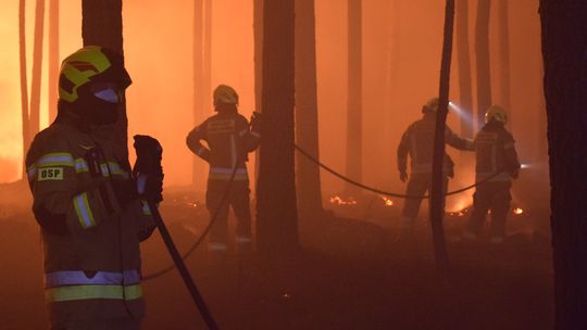Potężny pożar lasu na Lubelszczyźnie. Do akcji ruszyli też strażacy z Krosna