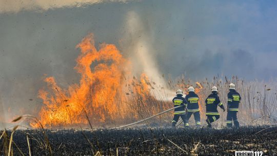 Potężny pożar traw w gminie Chorkówka. W akcji ponad 10 zastępów straży pożarnej