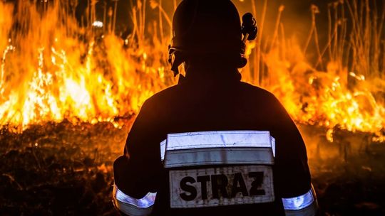 POWIAT: Bezmyślne wypalanie traw i pozostałości roślinnych