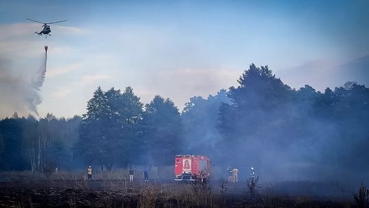 Pożar lasu na Podkarpaciu. W akcji gaśniczej brał udział samolot i śmigłowiec