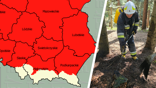 Pożar pod Zamkiem Kamieniec. Szybka akcja służb zapobiegła większym stratom w lesie
