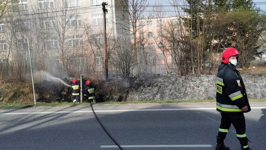 Pożar traw przy torowisku. Nadpalony słup telefoniczny i zagrożone budynki
