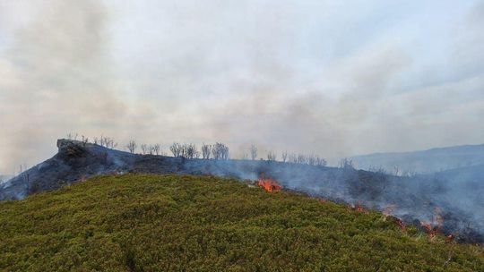 Pożar w Bieszczadach! Na miejsce ściągany jest śmigłowiec