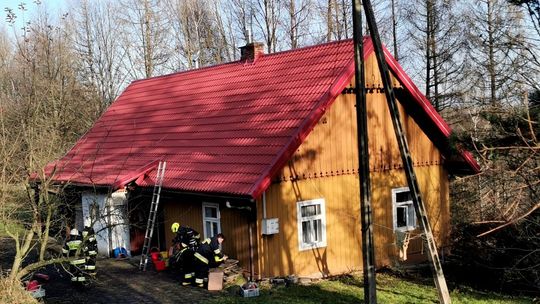Pożar w Wietrznie. Tylko dzięki szybkiej reakcji nie doszło do dużych strat