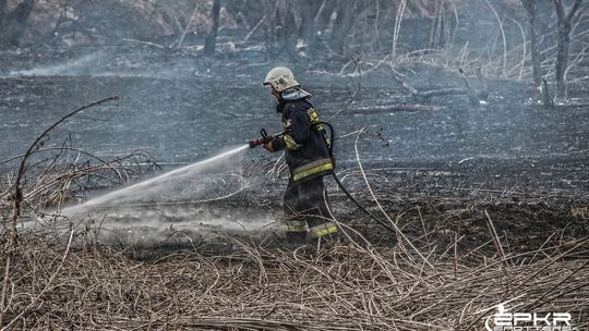 Pożary traw w obiektywie czytelników