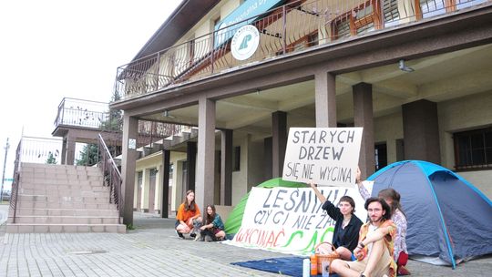 Protest przed RDLP w Krośnie. Aktywiści chcą zaprzestania wycinki drzew pomnikowych