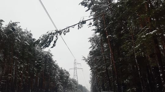 Przerwy w dostawie energii. Jakie prawa mają odbiorcy?