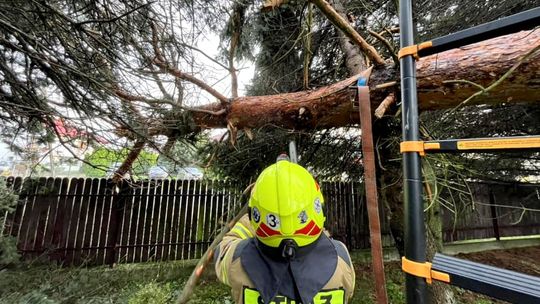 Przez region przeszły nawałnice. Krośnieńscy strażacy wyjeżdżali około 70 razy