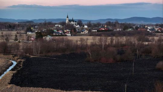Przypominamy! Palenie traw to realne zagrożenie i surowe kary od 2026 roku