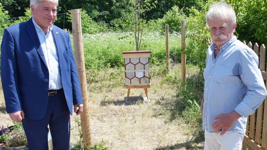 Pszczoły zamieszkały w zakolu Wisłoka. Miejska pasieka jest domem dla trzech rodzin