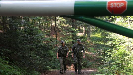 RDLP w Krośnie zapowiada wzmożone patrole w czasie majówki