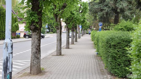 Rozbudowa ulicy Wojska Polskiego kosztem drzew. Są krośnianie, którzy się na to nie godzą