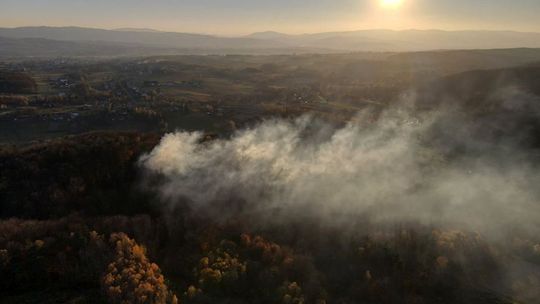 ? Rozległy pożar ściółki leśnej w Poraju