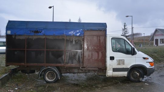 Rumuni przewozili konie na sprzedaż. Jeden z nich padł na stacji paliw w Zboiskach