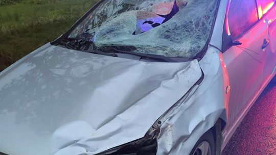 Rymanów. Samochód zderzył się z jeleniem, jedna osoba poszkodowana