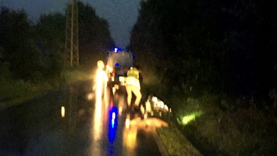 Sarna wbiegła w samochód i rowerzystę
