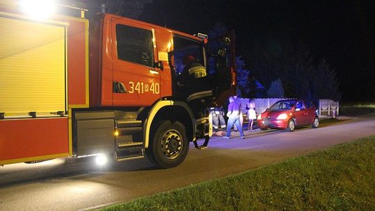 Sarna wpadła pod samochód. Niestety nie udało jej się uratować