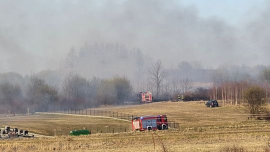 Seria pożarów traw na Podkarpaciu. W powiecie krośnieńskim interweniowali strażacy z wielu jednostek