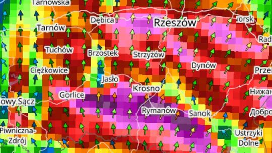 Najbliższe dni będą wietrzne. Silny wiatr fenowy nad regionem