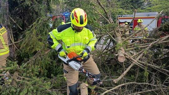 Silny wiatr nad Podkarpaciem. Strażacy interweniowali blisko 160 razy