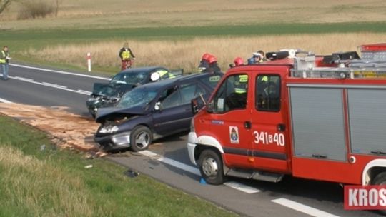 Skoczek spadochronowy zawisł na drzewie