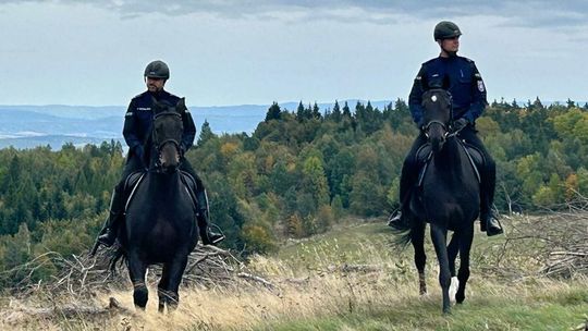 Służby patrolują lasy i szlaki turystyczne w powiecie krośnieńskim