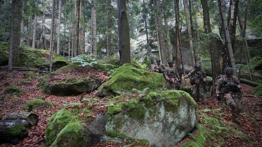 Służby szkoliły się w rejonie Czarnorzek