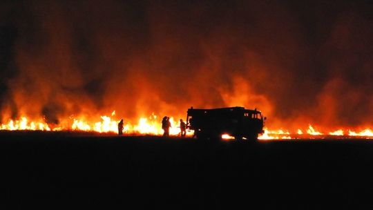 Spłonęło już ponad 181 hektarów nieużytków rolnych!