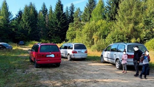 Straż Leśna nałożyła mandaty na rumuńskich grzybiarzy