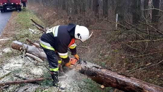 Strażacy interweniowali już kilkadziesiąt razy w związku z silnym wiatrem. Drogi w większości przejezdne