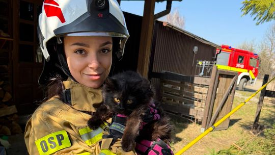 Strażacy ratują nie tylko ludzi. Seria interwencji z udziałem zwierząt