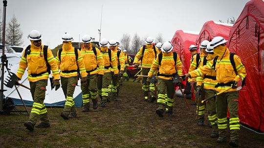 Strażacy się szkolą z gaszenia pożarów lasów. Pierwsze na Podkarpaciu ćwiczenia modułu GFFF