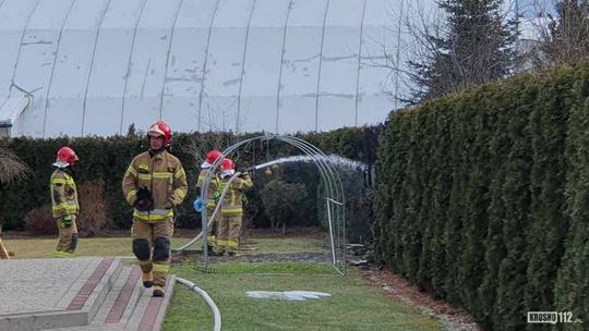 Strażacy wezwani do pożaru tui na jednej z posesji w Krośnie