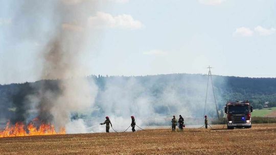 Strażacy wzywani do pożarów podczas żniw