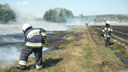 Susza: Straż pożarna codziennie interweniuje przy pożarach