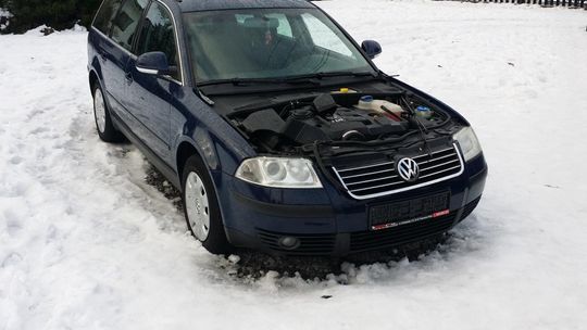 ŚWIERZOWA POLSKA: Kradzież i dewastacja na prywatnej posesji