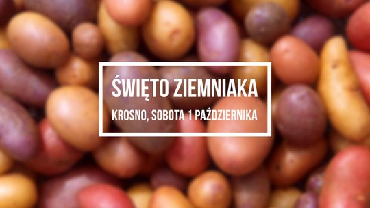 Święto ziemniaka już w sobotę