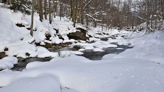 Szlaki w Bieszczadach są zmarznięte. Koniecznym wyposażeniem turysty są raczki