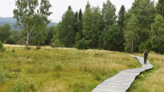 Tarnica była najpopularniejsza. Bieszczadzki Park Narodowy podsumował wakacyjną frekwencję na szlakach