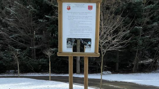 Taryfy ulgowej dla wandali, którzy zdewastowali park zdrojowy w Rymanowie-Zdroju, nie będzie